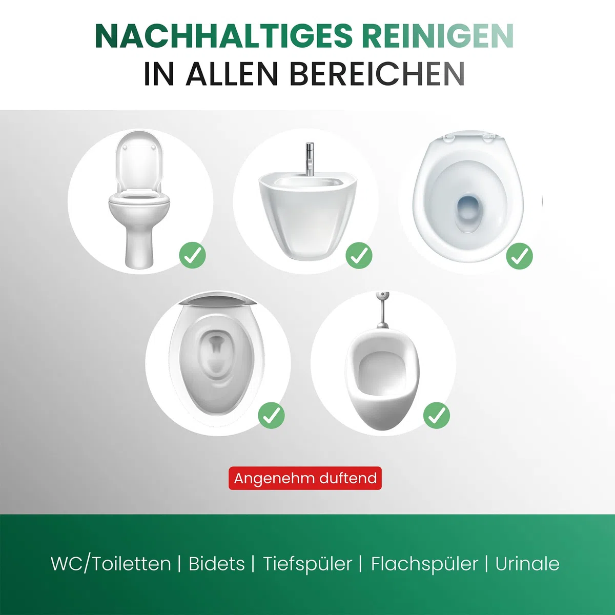 BiOHY Detergente per WC (Lattina da 10 Litri) | EXTRA FORTE | Concentrato biologico professionale | Gel detergente viscoso | Ideale contro il calcare delle urine (WC-Reiniger)