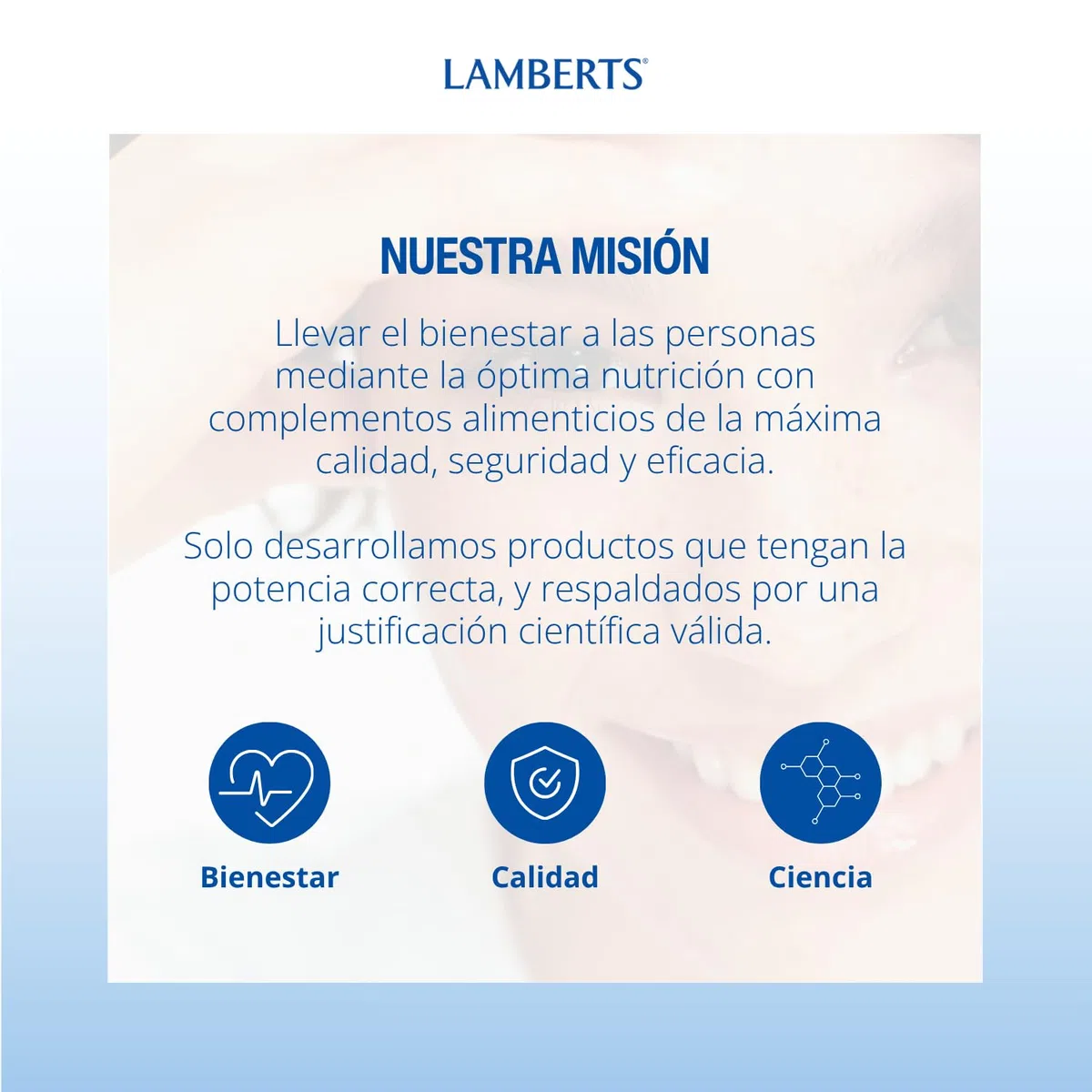 Lamberts Quercitina 500mg - 60 compresse, 60