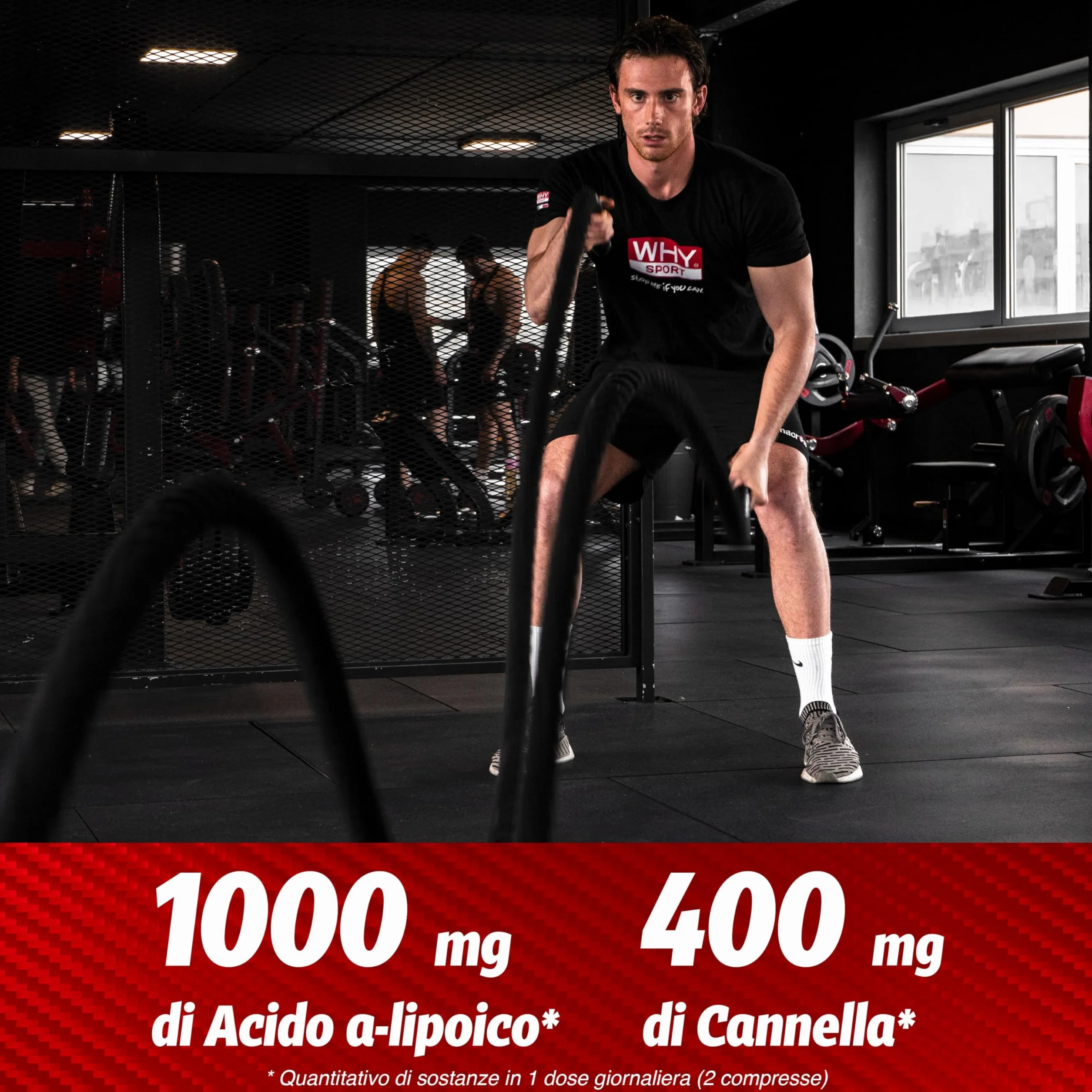 WHY SPORT LIPOIC 1000 Acido Alfa Lipoico 1000 mg Integratore Alimentare con Cannella e Cromo 60 Compresse