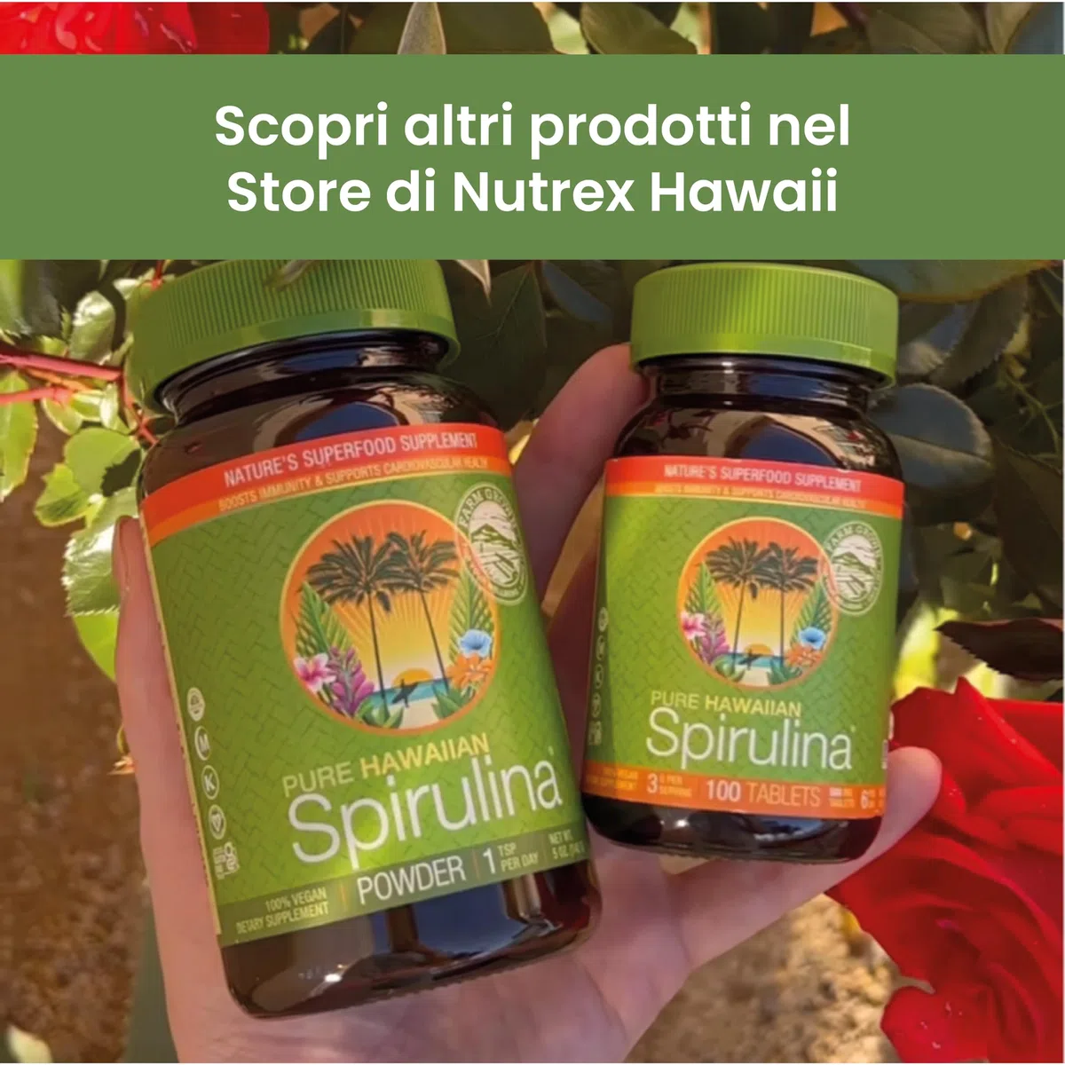 Nutrex Hawaii, Pure Hawaiian Spirulina, 454 g di Polvere Vegana, Testato in Laboratorio, Senza Glutine, Senza Soia, Vegetariano