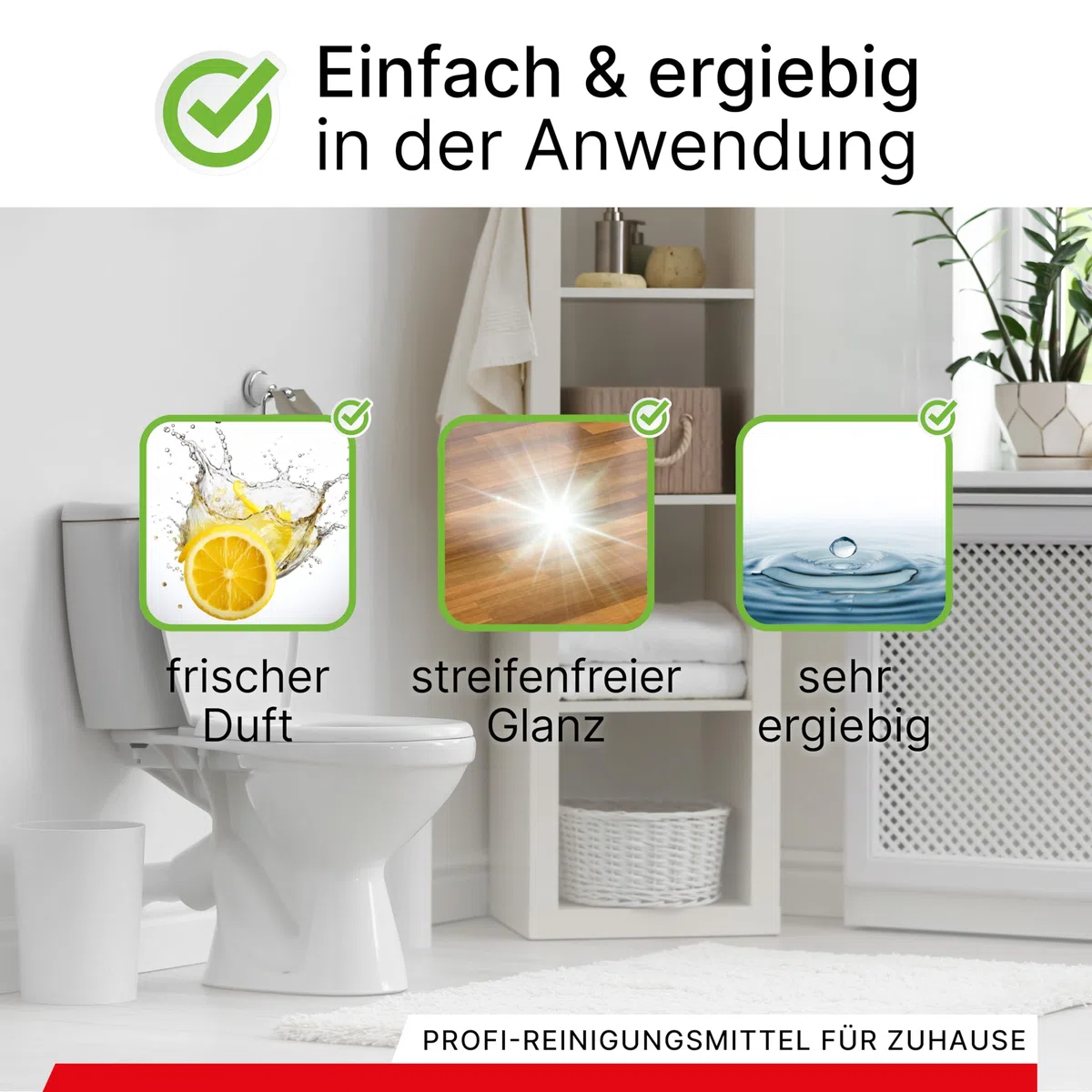 BiOHY Detergente per bagno (Lattina da 10 Litri) + Rubinetto di scarico | Concentrato decalcificante per ambienti sanitari | profumo gradevole e fresco | EXTRA FORTE (Sanitärreiniger)