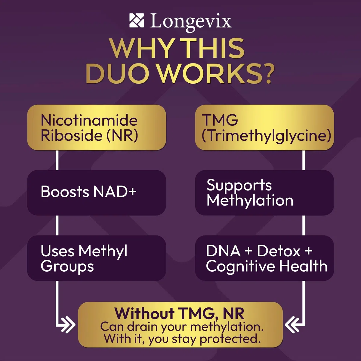 NR+ TMG, NAD+ Capsule | Nicotinamide Riboside 300mg, TMG 250mg | Supporto NAD+ e metilazione | 60 capsule vegane | Booster NAD+ | Formula pulita |
