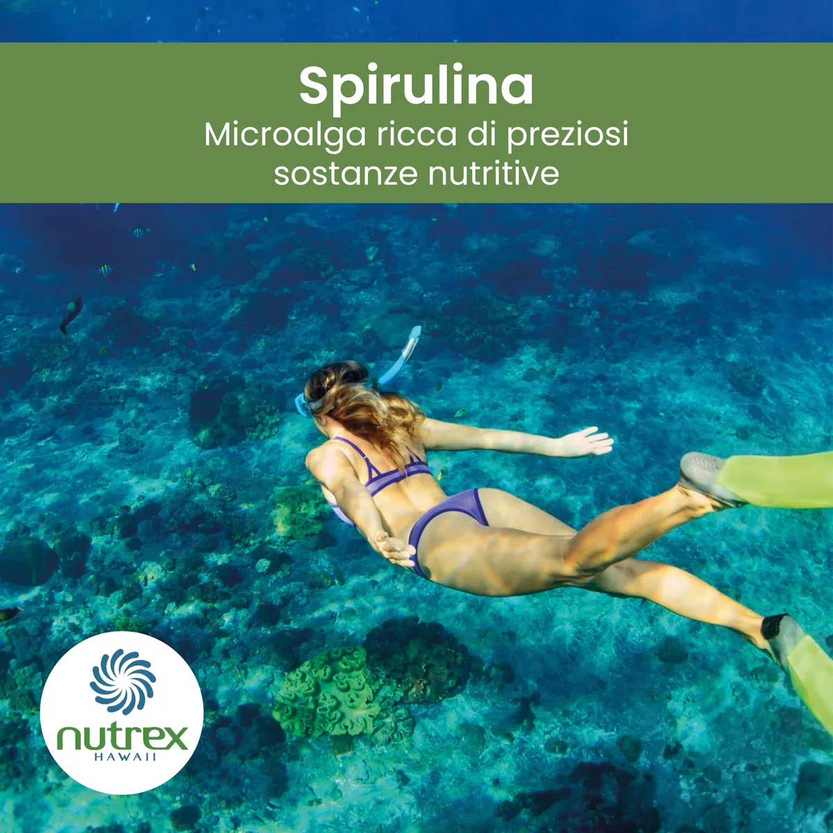 Nutrex Hawaii, Pure Hawaiian Spirulina, 454 g di Polvere Vegana, Testato in Laboratorio, Senza Glutine, Senza Soia, Vegetariano